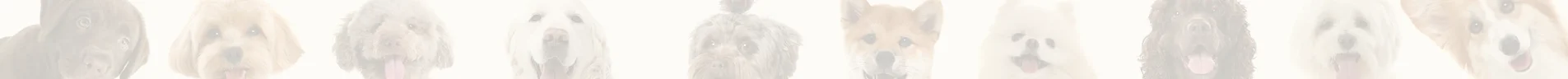 inbanner_fw.webp